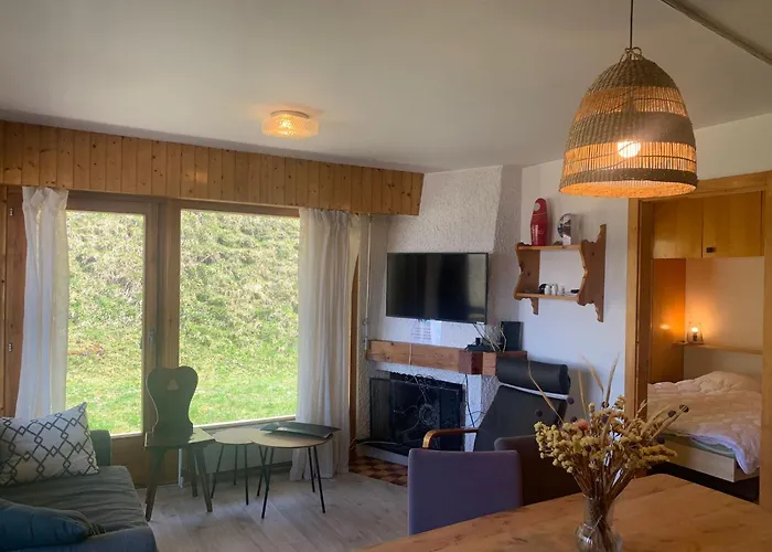 Mont-rouge E 012 - View 6 Pers 维松纳